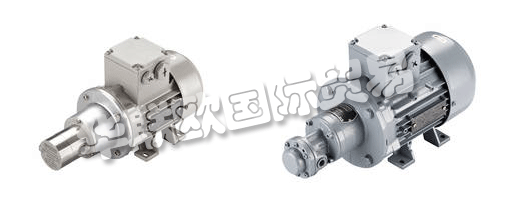 　　SCHERZINGER泵技術公司制造的移動齒輪泵：物理和個人。