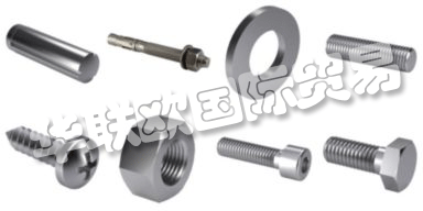 FABORY總部位于歐洲10個(gè)國(guó)家，是歐洲著名的緊固件生產(chǎn)銷售公司，出口部門(mén)服務(wù)于世界其他地區(qū)的所有其他國(guó)家。FABORY目前在全球16個(gè)國(guó)家有一百多個(gè)分支機(jī)構(gòu)。主要產(chǎn)品包括：鎖緊墊片，內(nèi)六角螺栓，鎖緊墊片螺母，鎖緊墊片外六角螺栓，螺栓，螺母等等。