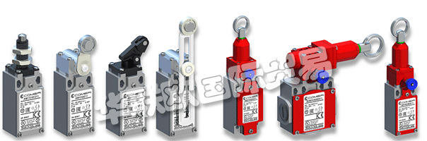 COMEPI擁有代理商和進口商網絡，由當?shù)亟涗N商提供支持。