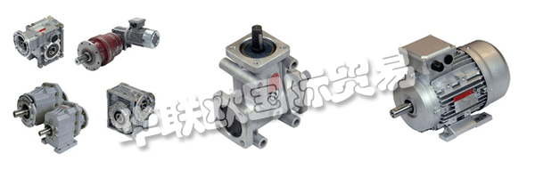 財(cái)產(chǎn)的意愿都是維持和鞏固集團(tuán)的領(lǐng)導(dǎo)地位CHIARAVALLI，