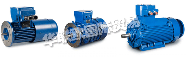 Regal成立于1954年，擁有CEMP?Srl，是意大利首批生產(chǎn)防爆防爆電機(jī)的公司之一。