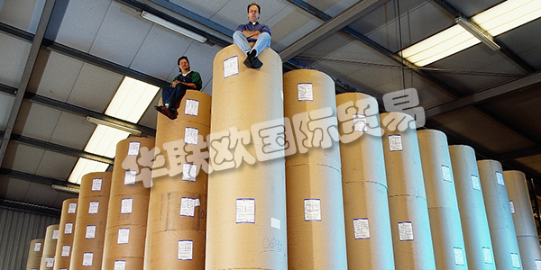 APV德國是歐洲卷材紙和柔性材料加工領(lǐng)域的領(lǐng)先公司之一。在客戶不斷變化的需求的推動下，他們不斷努力改進(jìn)和完善他們的加工技術(shù)。這得到了密集投資計劃的支持。因此，他們實現(xiàn)了先前的機器擴展和存儲容量的擴展。2011年，Bramsche工廠新建了一個生產(chǎn)車間，為高科技，醫(yī)療技術(shù)和食品行業(yè)的客戶提供清潔和衛(wèi)生的特殊條件。