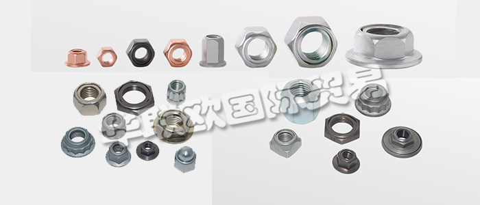 FLAIG+HOMMEL是世界知名的不銹鋼安全螺母制造商，幾十年來一直是國際汽車和鐵路行業(yè)的可靠合作伙伴。下文為您具體介紹FLAIG+HOMMEL安全螺母。