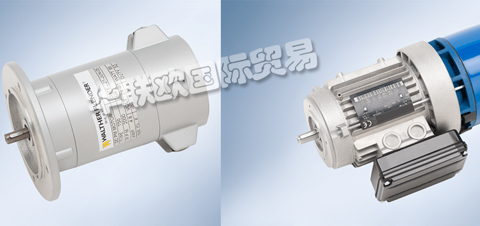 德國(guó)WALTHER FLENDER減速機(jī)ZP系列DZ系列ZP32 S 4PAB 2/1